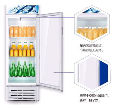 242升/0-10°/立体式/单冷藏-BZCG-260防爆冰箱-防爆冰柜